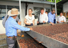 Experto europeo en cacao inició reconocimiento a zonas cultivadoras en el Huila