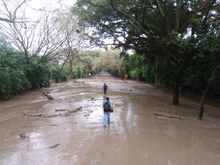 Gestión del Riesgo reportó emergencias tras intensas lluvias