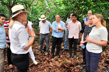 Con apoyo de la Gobernación del Huila, cacaocultores abren espacios a nuevos mercados internacionales