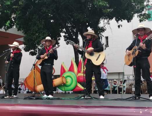 El Encuentro Departamental de Música Campesina "Cantalicio Rojas", un evento lleno de folgorio y alegría