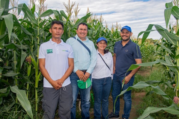 Con proyecto de investigación, Gobierno “Huila Crece” fortalecerá la producción de maíz en el departamento