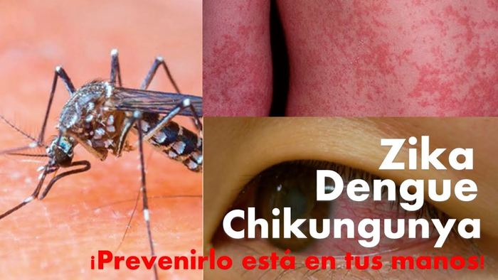 Huilenses a tomar medidas para enfrentar el Zika
