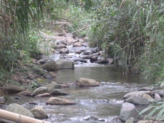 Gobernación del Huila promueve conservación de nacederos de agua