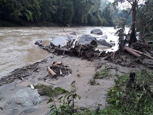Gestión del Riesgo entregó reporte de emergencias por lluvias en el sur, y por tiempo seco en norte del Huila
