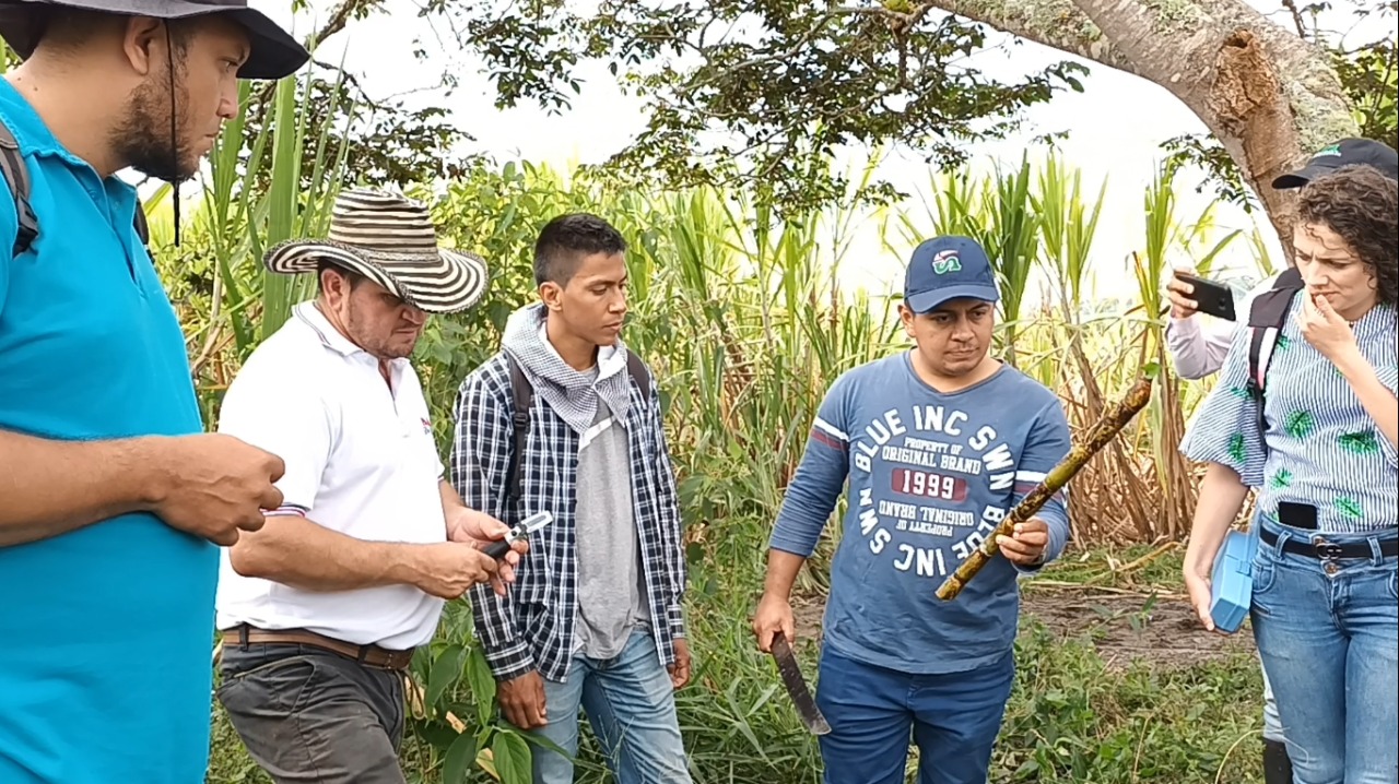 Más de 11.000 campesinos huilenses serán beneficiados con el servicio de extensión agropecuaria, gracias al liderazgo del gobierno “Huila Crece”