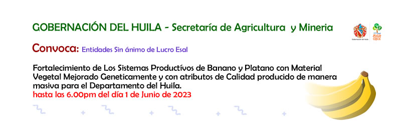 Fortalecimiento de Los Sistemas Productívos de Banano y Platano con Material Vegetal Mejorado Geneticamente y con atributos de Calidad producido de manera  masiva en Huila